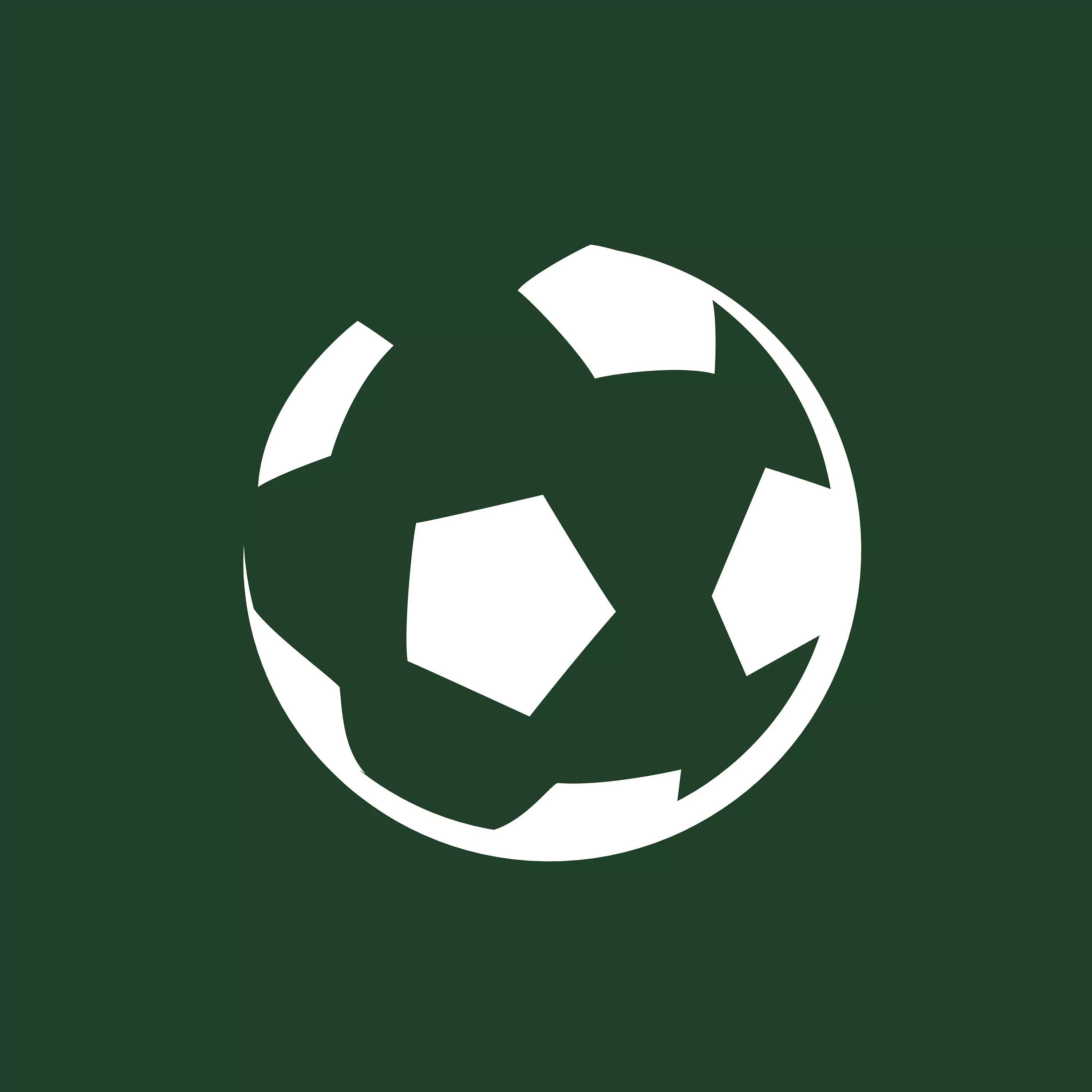 Player image